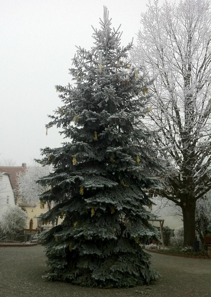 Advetszeit in Offenheim