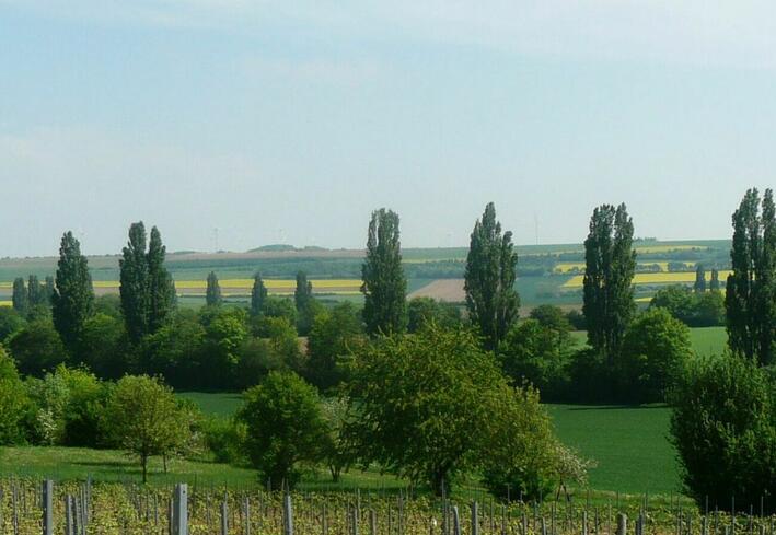 Rund ums Offenheim